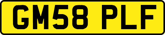 GM58PLF