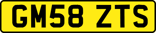 GM58ZTS