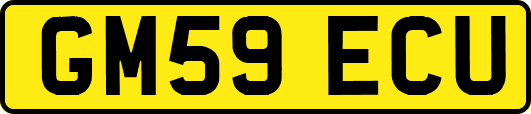 GM59ECU