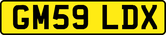 GM59LDX
