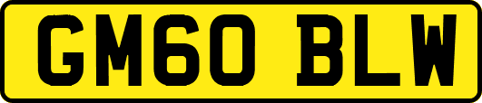 GM60BLW