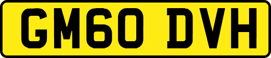 GM60DVH