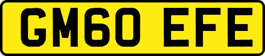 GM60EFE