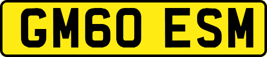 GM60ESM