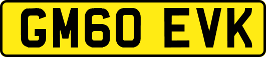 GM60EVK