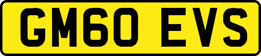 GM60EVS