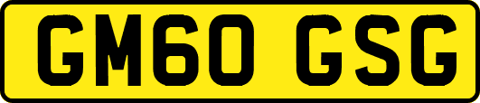 GM60GSG