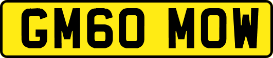 GM60MOW