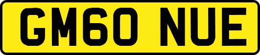 GM60NUE