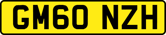 GM60NZH