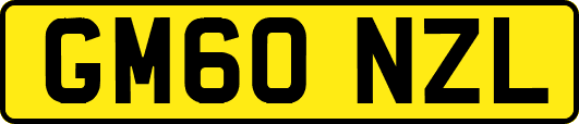 GM60NZL