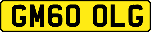 GM60OLG