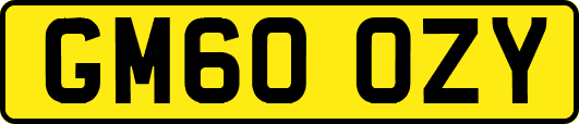GM60OZY