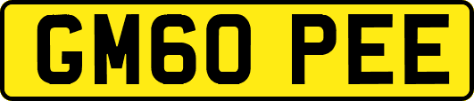 GM60PEE