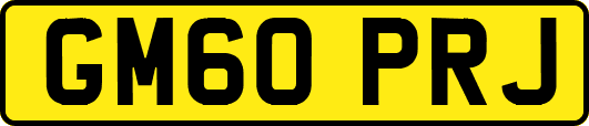 GM60PRJ