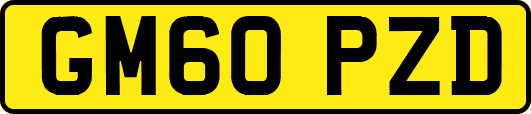GM60PZD