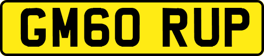 GM60RUP