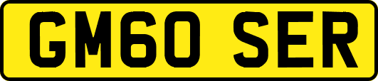 GM60SER