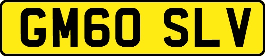 GM60SLV