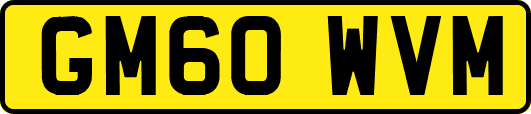 GM60WVM
