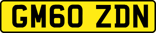 GM60ZDN