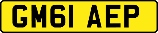 GM61AEP
