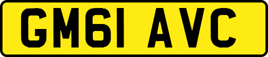 GM61AVC
