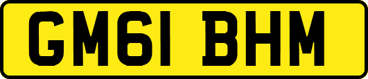 GM61BHM
