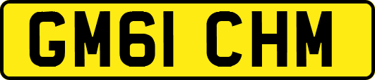 GM61CHM