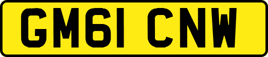 GM61CNW