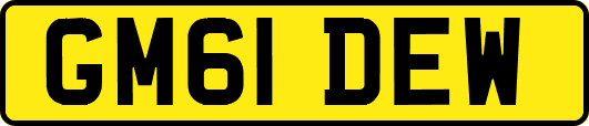 GM61DEW