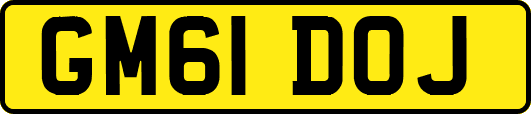 GM61DOJ