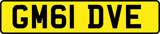 GM61DVE