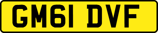 GM61DVF