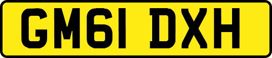 GM61DXH