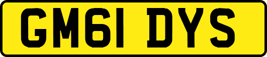 GM61DYS