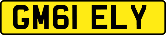 GM61ELY