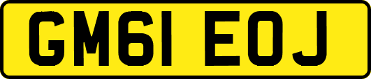 GM61EOJ