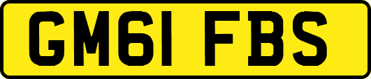 GM61FBS