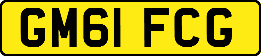 GM61FCG