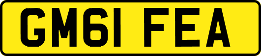 GM61FEA