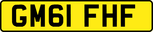 GM61FHF