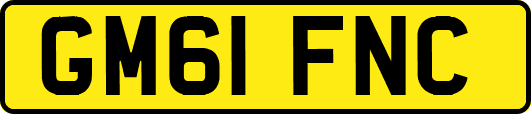 GM61FNC