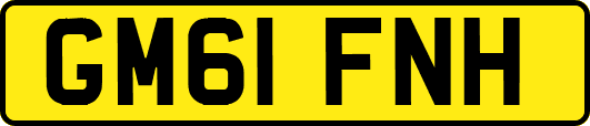 GM61FNH