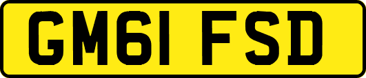 GM61FSD