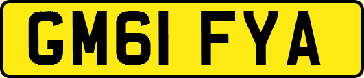 GM61FYA