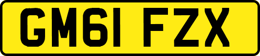 GM61FZX