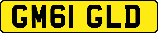 GM61GLD