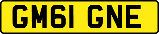 GM61GNE
