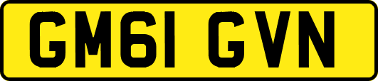 GM61GVN